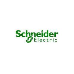 Diferencial superinmunizado Schneider A9R35263 2 P 63A 300mA clase A