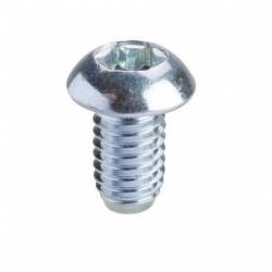 TORNILLO TORX T30 (M6X10) - NSYSPM6